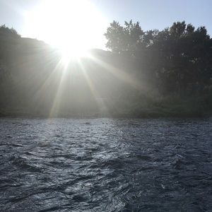 Meet your Posher, Thomas